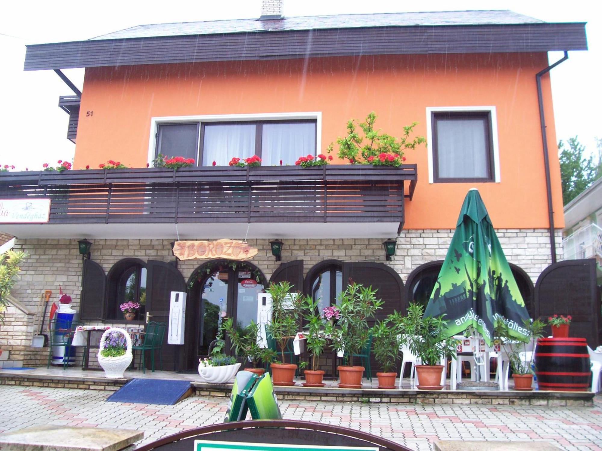 Julia Vendeghaz Hotel Zalakaros Ngoại thất bức ảnh